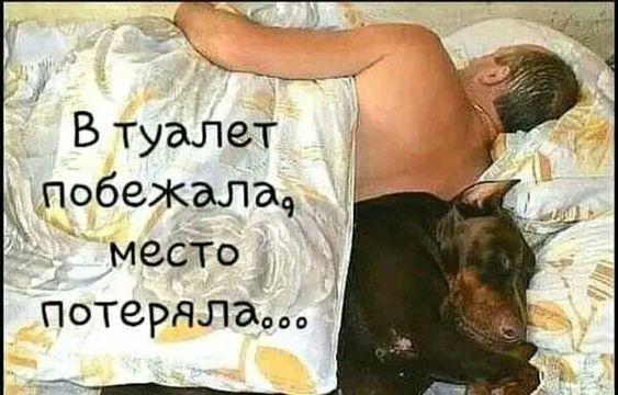 В туалет побежала, место потеряла...