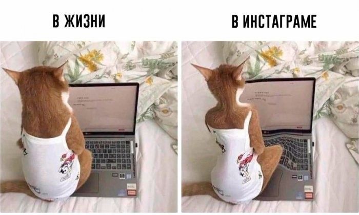 В ЖИЗНИ В ИНСТАГРАМЕ