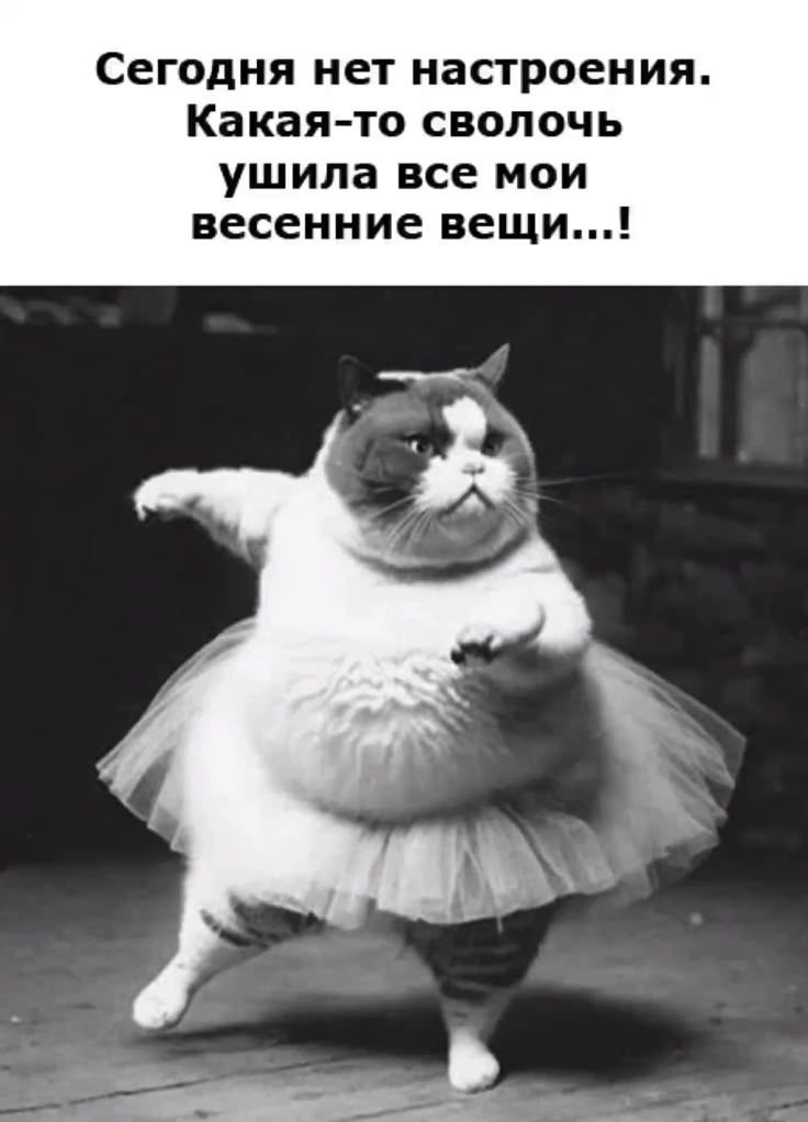 Сегодня нет настроения. Какая-то сволочь ушила все мои весенние вещи...!