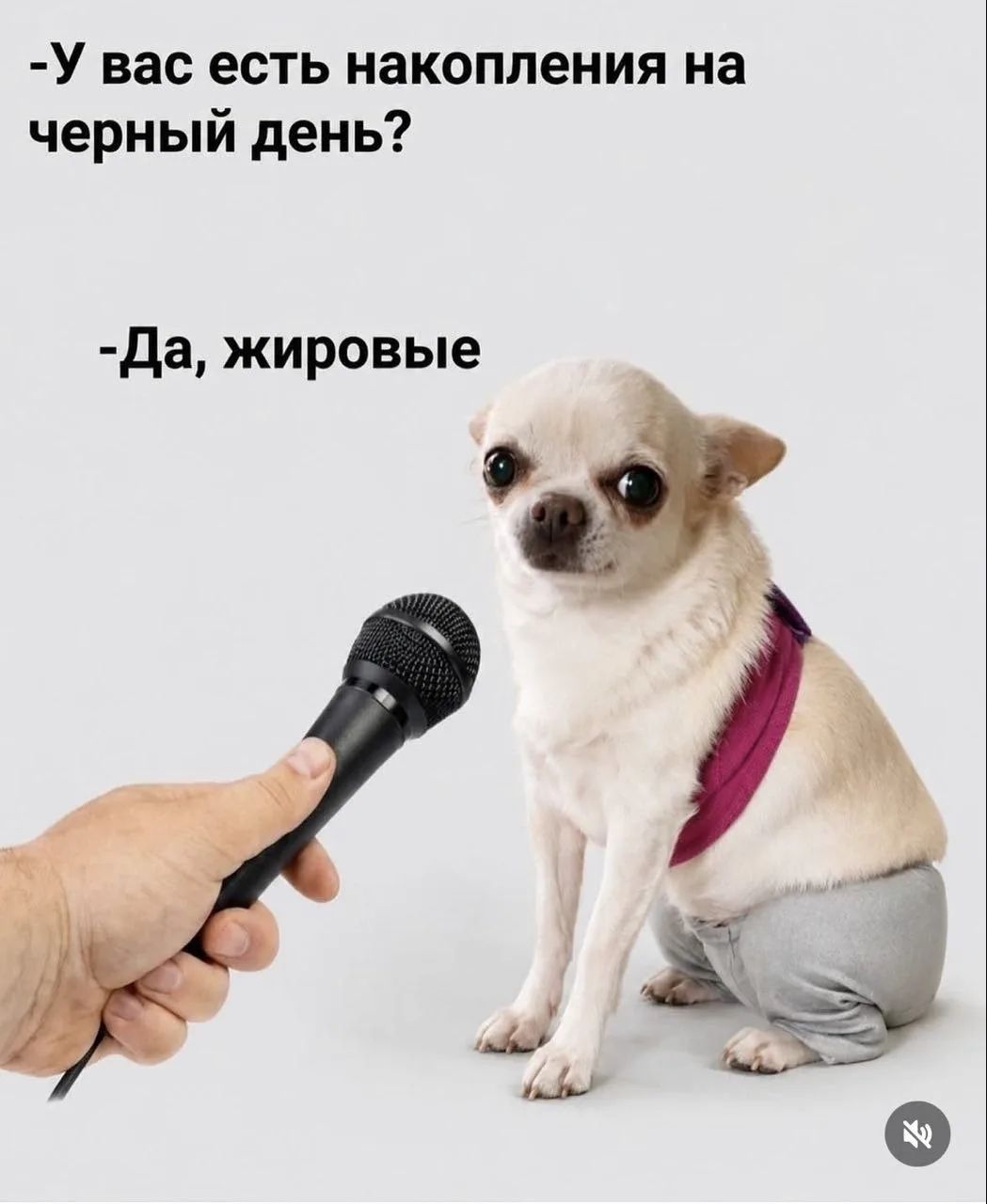 -У вас есть накопления на черный день? -Да, жировые