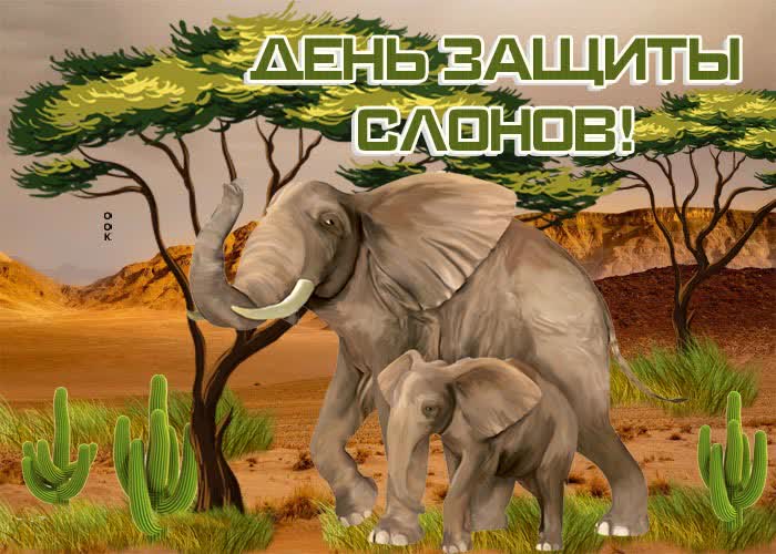 День защиты слонов!
