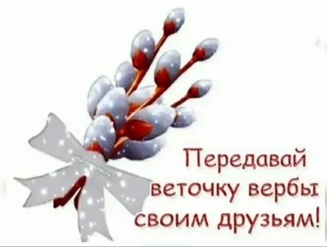 Передавай веточку вербы своим друзьям!