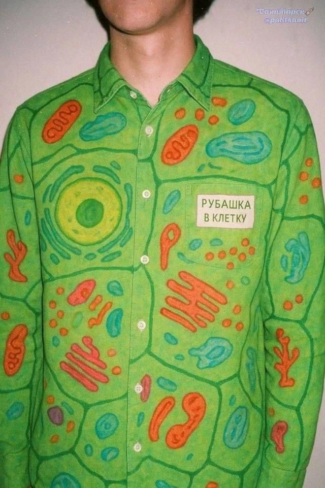 РУБАШКА В КЛЕТКУ, Санитарск @politsanit