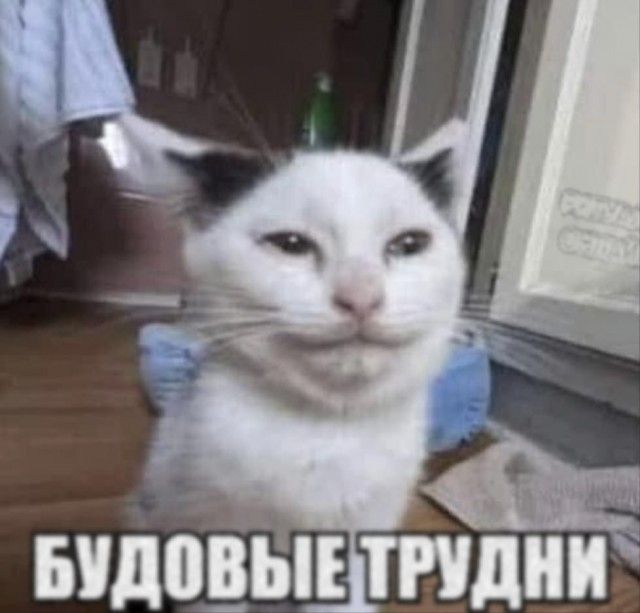 БУДОВЫЕ ТРУДНИ