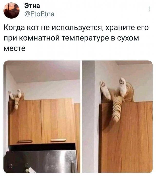 Этна @EtoEtna Когда кот не используется, храните его при комнатной температуре в сухом месте