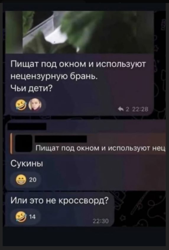 Пищат под окном и используют нецензурную брань. Чьи дети? Сукины. Или это не кроссворд?