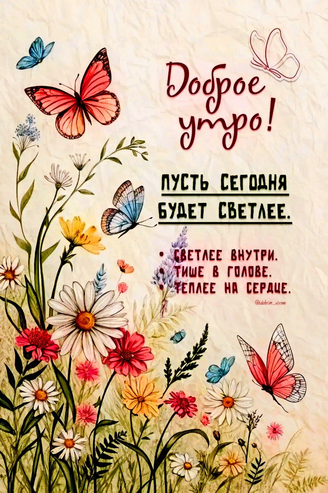 Доброе утро! Пусть сегодня будет светлее. Светлее внутри. Тише в голове. Теплее на сердце. @dobrim_utrom