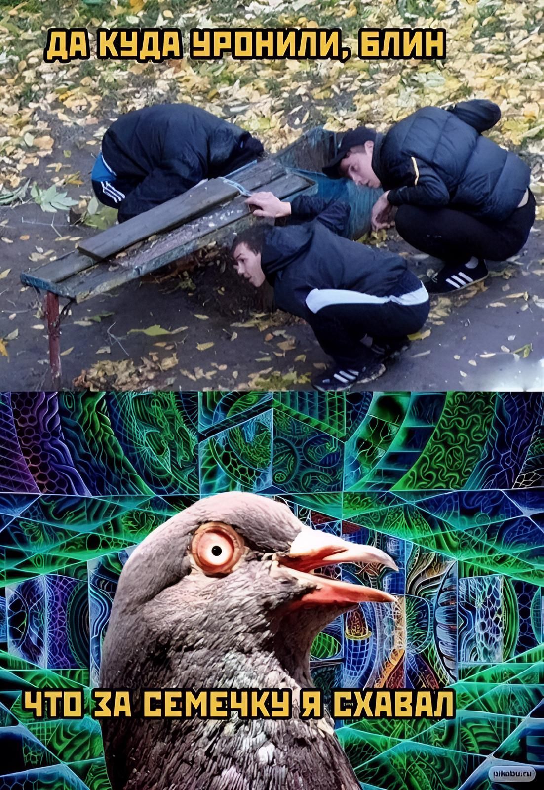 ДА КУДА УРОНИЛИ, БЛИН. ЧТО ЗА СЕМЕЧКУ Я СХАВАЛ