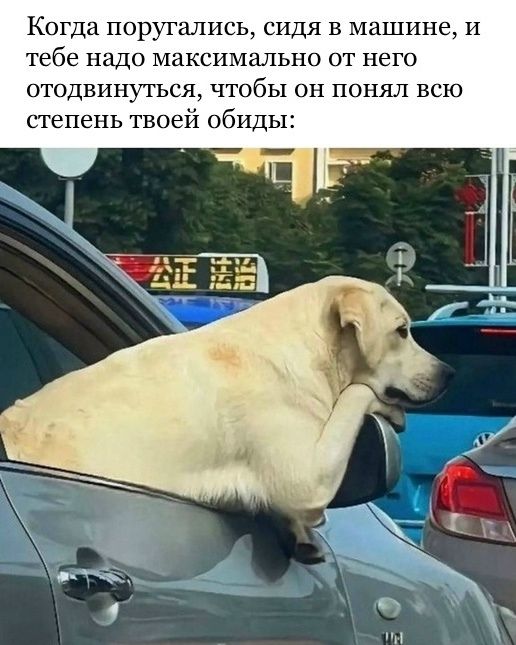 Когда поругались, сидя в машине, и тебе надо максимально от него отодвинуться, чтобы он понял всю степень твоей обиды: