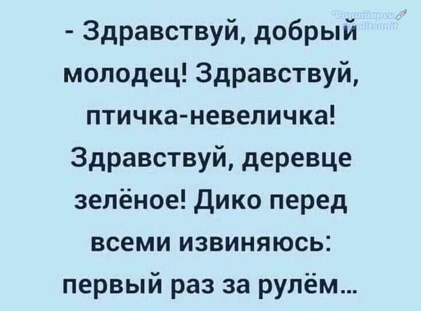 - Здравствуй, добрый молодец! Здравствуй, птичка-невеличка! Здравствуй, деревце зелёное! Дико перед всеми извиняюсь: первый раз за рулём...