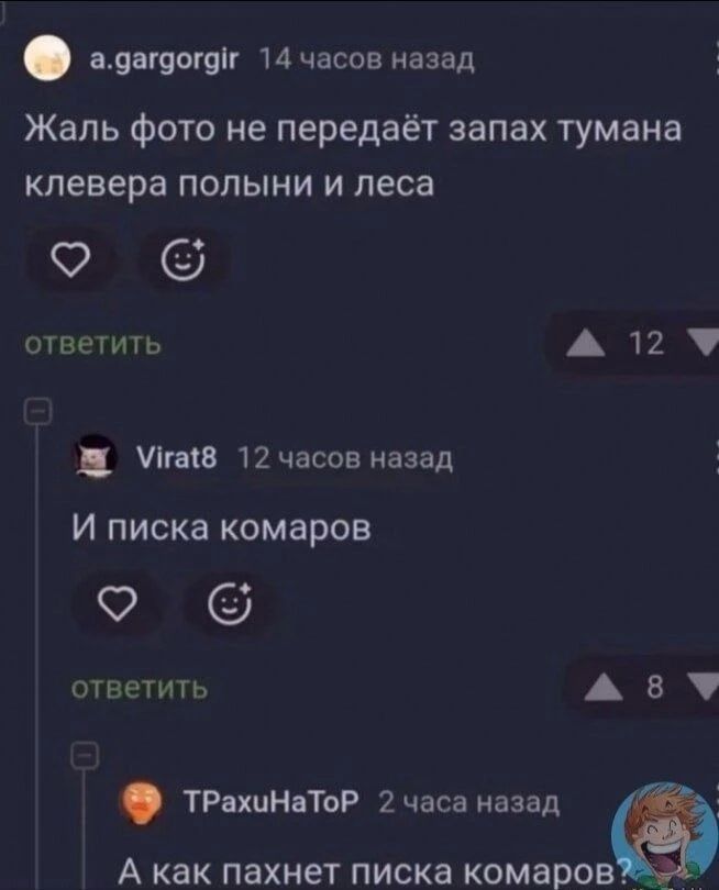 Жаль фото не передаёт запах тумана клевера полыни и леса И писка комаров А как пахнет писка комаров?