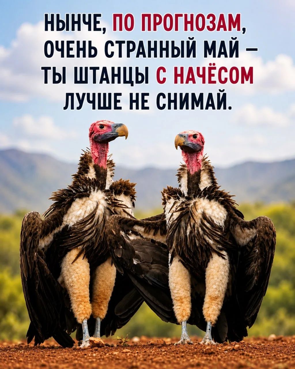 НЫНЧЕ, ПО ПРОГНОЗАМ, ОЧЕНЬ СТРАННЫЙ МАЙ – ТЫ ШТАНЦЫ С НАЧЁСОМ ЛУЧШЕ НЕ СНИМАЙ.