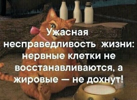 Ужасная несправедливость жизни: нервные клетки не восстанавливаются, а жировые — не дохнут!