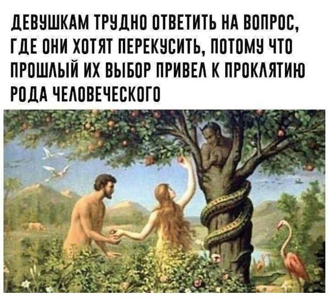 ДЕВУШКАМ ТРУДНО ОТВЕТИТЬ НА ВОПРОС, ГДЕ ОНИ ХОТЯТ ПЕРЕКУСИТЬ, ПОТОМУ ЧТО ПРОШЛЫЙ ИХ ВЫБОР ПРИВЕЛ К ПРОКЛЯТИЮ РОДА ЧЕЛОВЕЧЕСКОГО