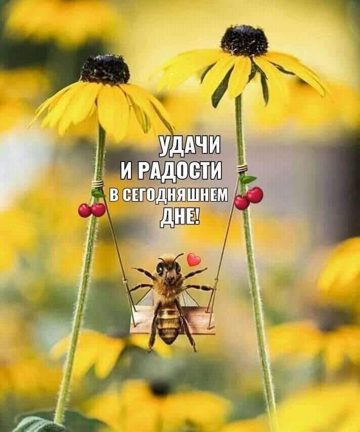 УДАЧИ И РАДОСТИ В СЕГОДНЯШНЕМ ДНЕ!