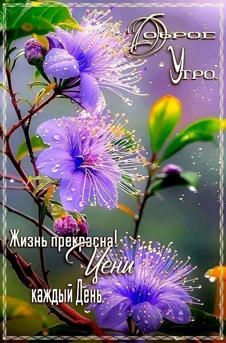 Доброе Утро. Жизнь прекрасна! Цени каждый День.
