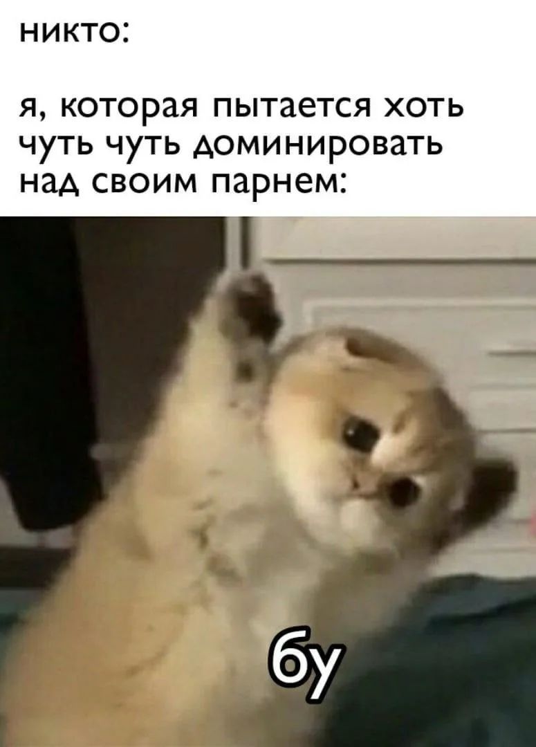 никто: я, которая пытается хоть чуть чуть доминировать над своим парнем: бу