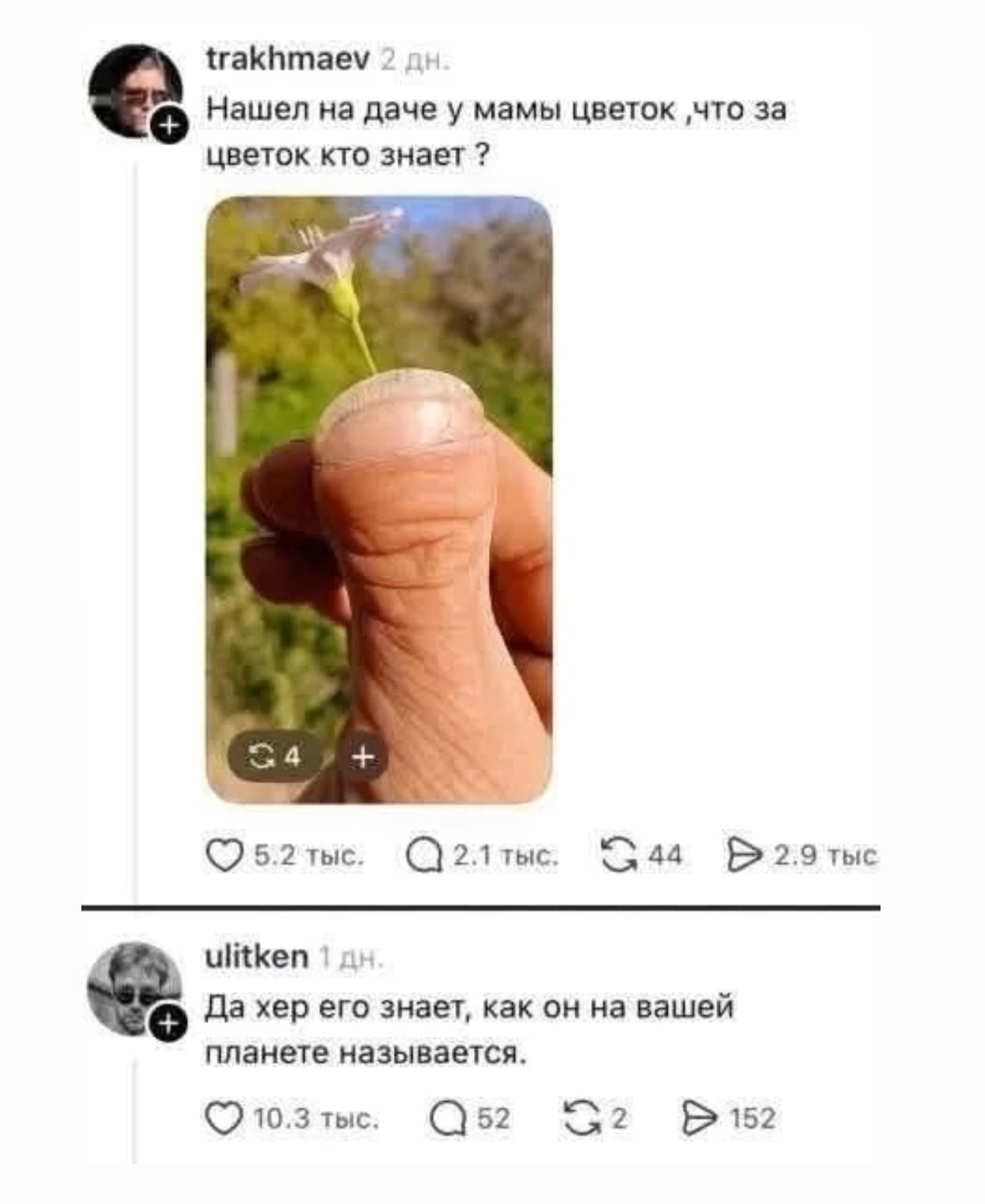 trakhmaev: Нашел на даче у мамы цветок ,что за цветок кто знает ? (фото: палец, похожий на пришельца, с цветком на ногте) ulitken: Да хер его знает, как он на вашей планете называется.