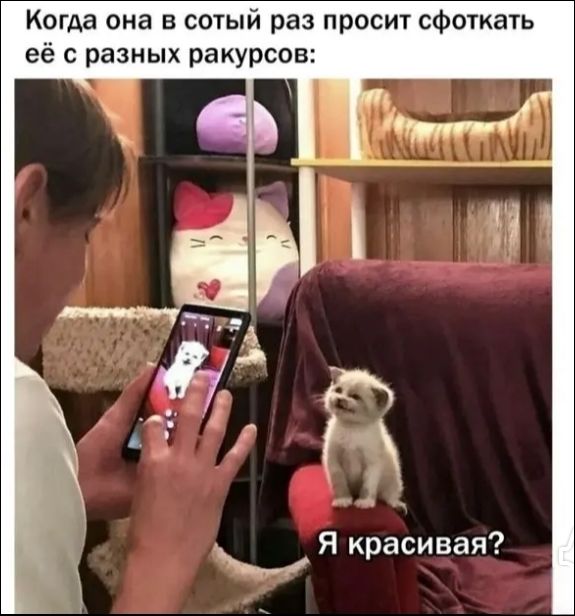 Когда она в сотый раз просит сфоткать её с разных ракурсов: Я красивая?
