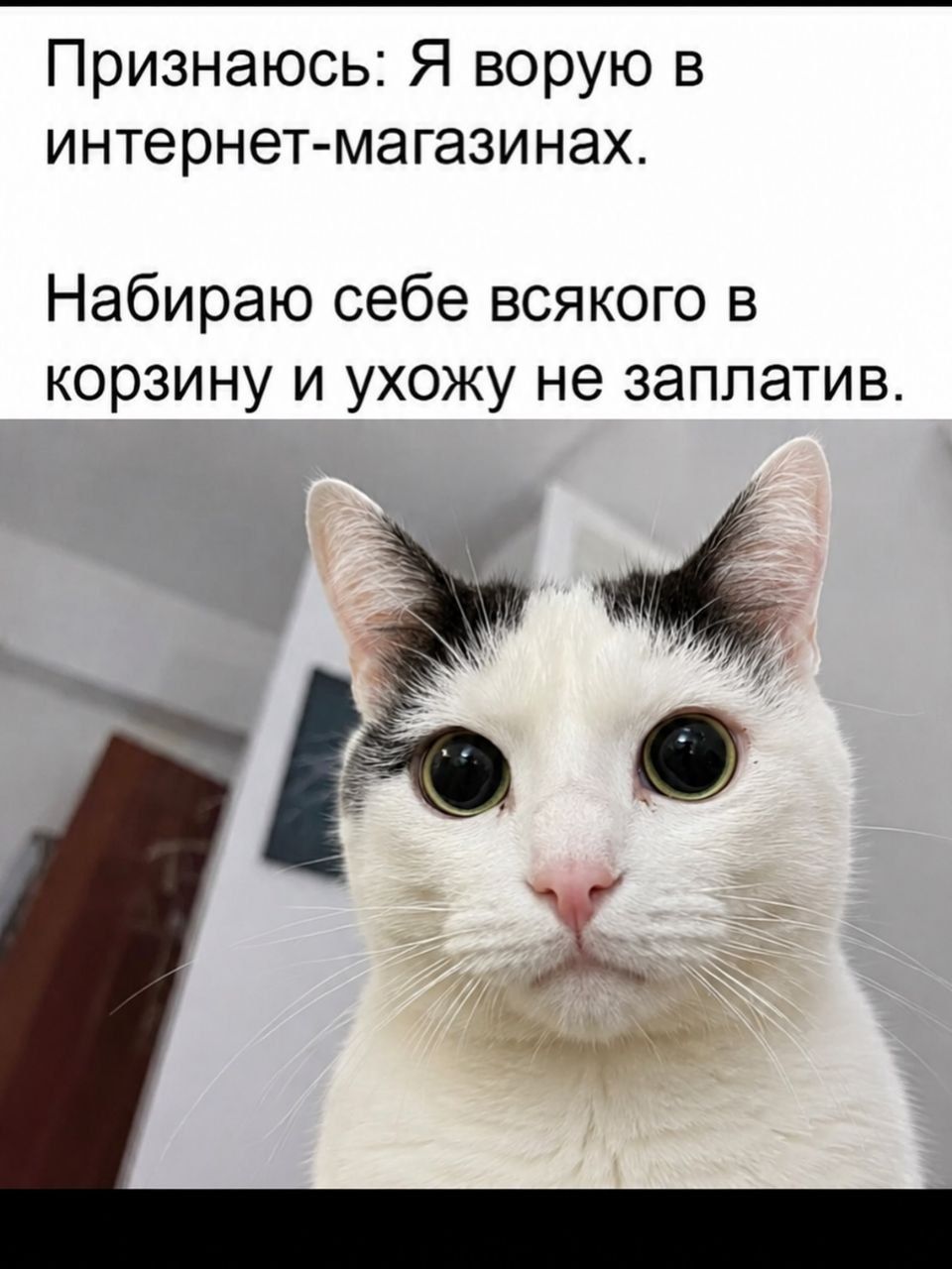 Признаюсь: Я ворую в интернет-магазинах. Набираю себе всякого в корзину и ухожу не заплатив.
