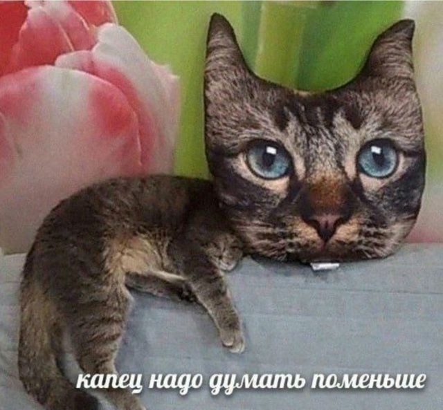 капец надо думать поменьше