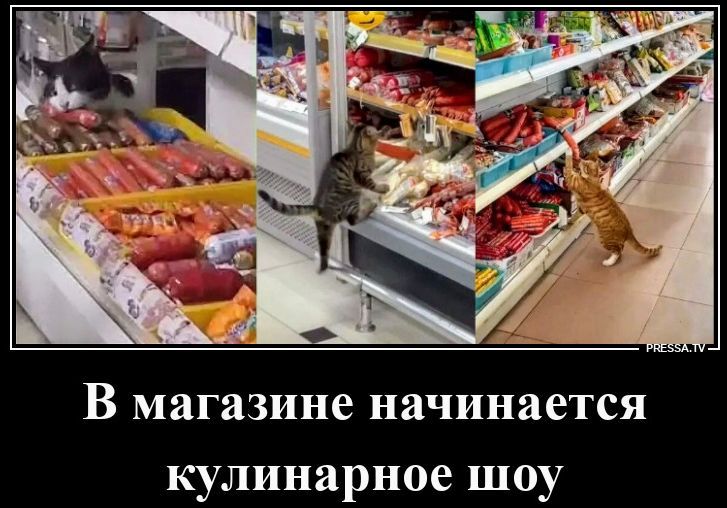 В магазине начинается кулинарное шоу