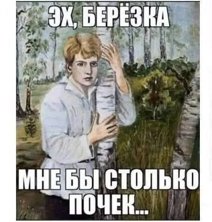 ЭХ, БЕРЁЗКА МНЕ БЫ СТОЛЬКО ПОЧЕК...