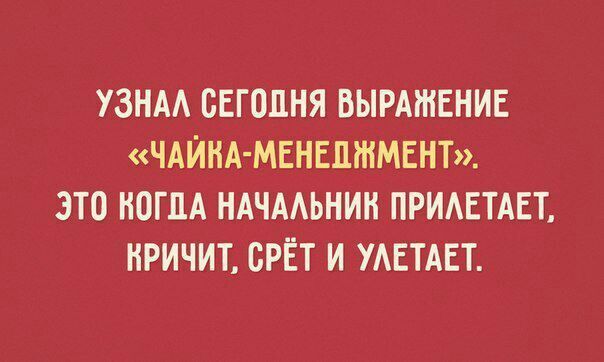 Узнал сегодня выражение «чайка-менеджмент». Это когда начальник прилетает, кричит, срёт и улетает.