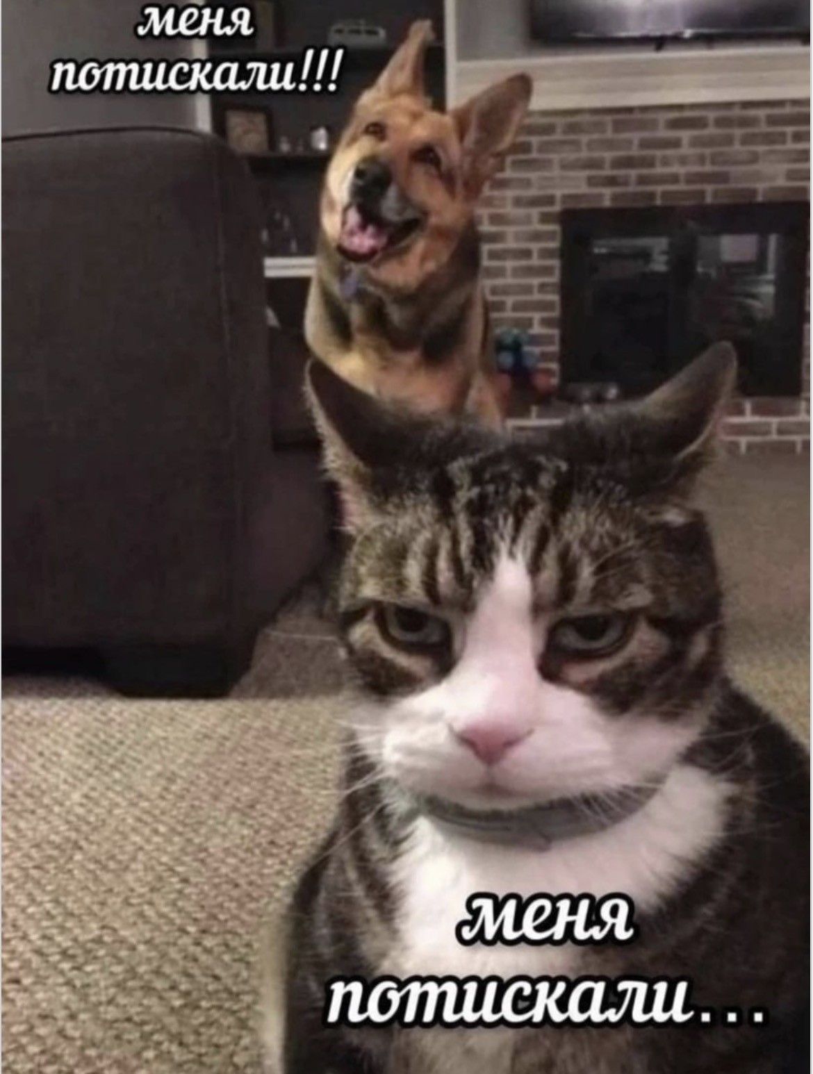 меня потискали!!! меня потискали...