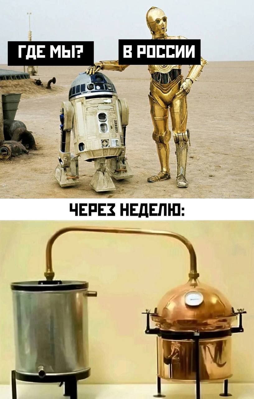 ГДЕ МЫ? В РОССИИ ЧЕРЕЗ НЕДЕЛЮ: