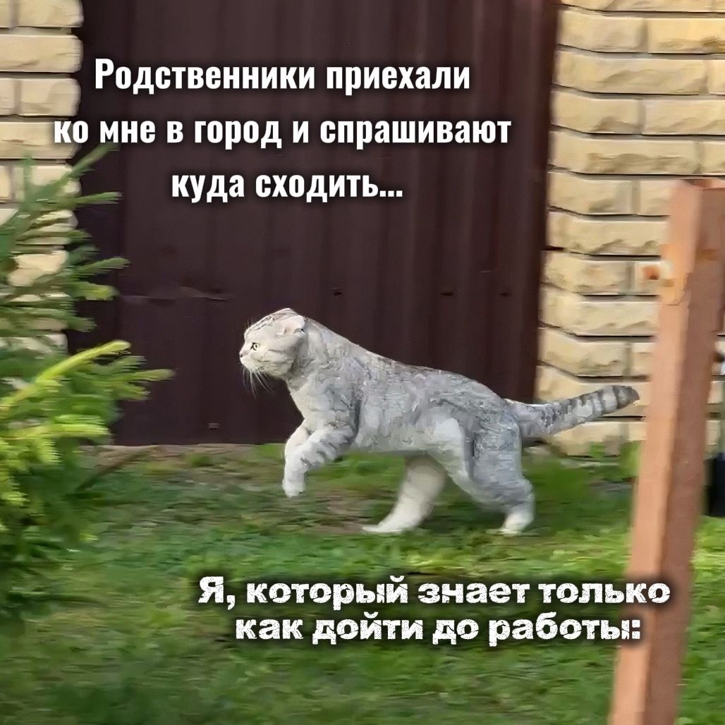 Родственники приехали ко мне в город и спрашивают куда сходить... Я, который знает только как дойти до работы: