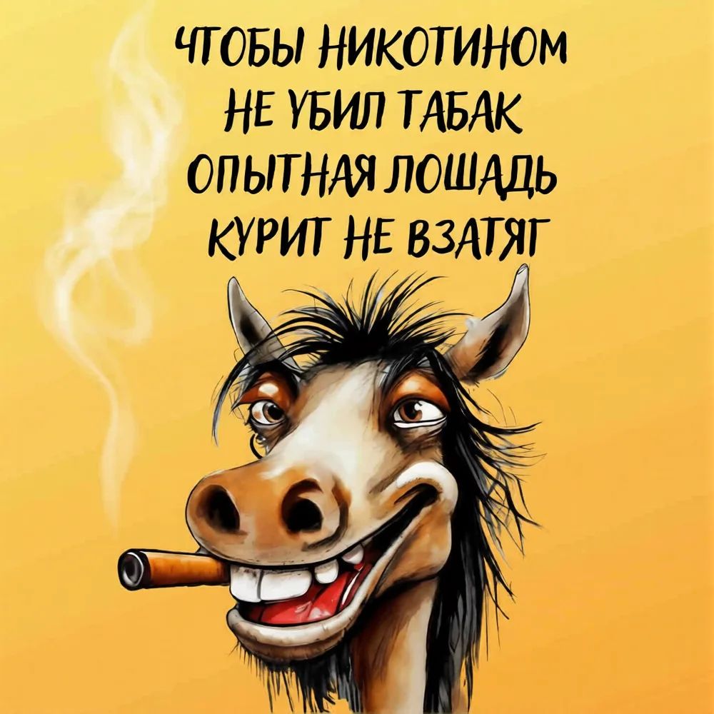 ЧТОБЫ НИКОТИНОМ НЕ УБИЛ ТАБАК ОПЫТНАЯ ЛОШАДЬ КУРИТ НЕ ВЗАТЯГ