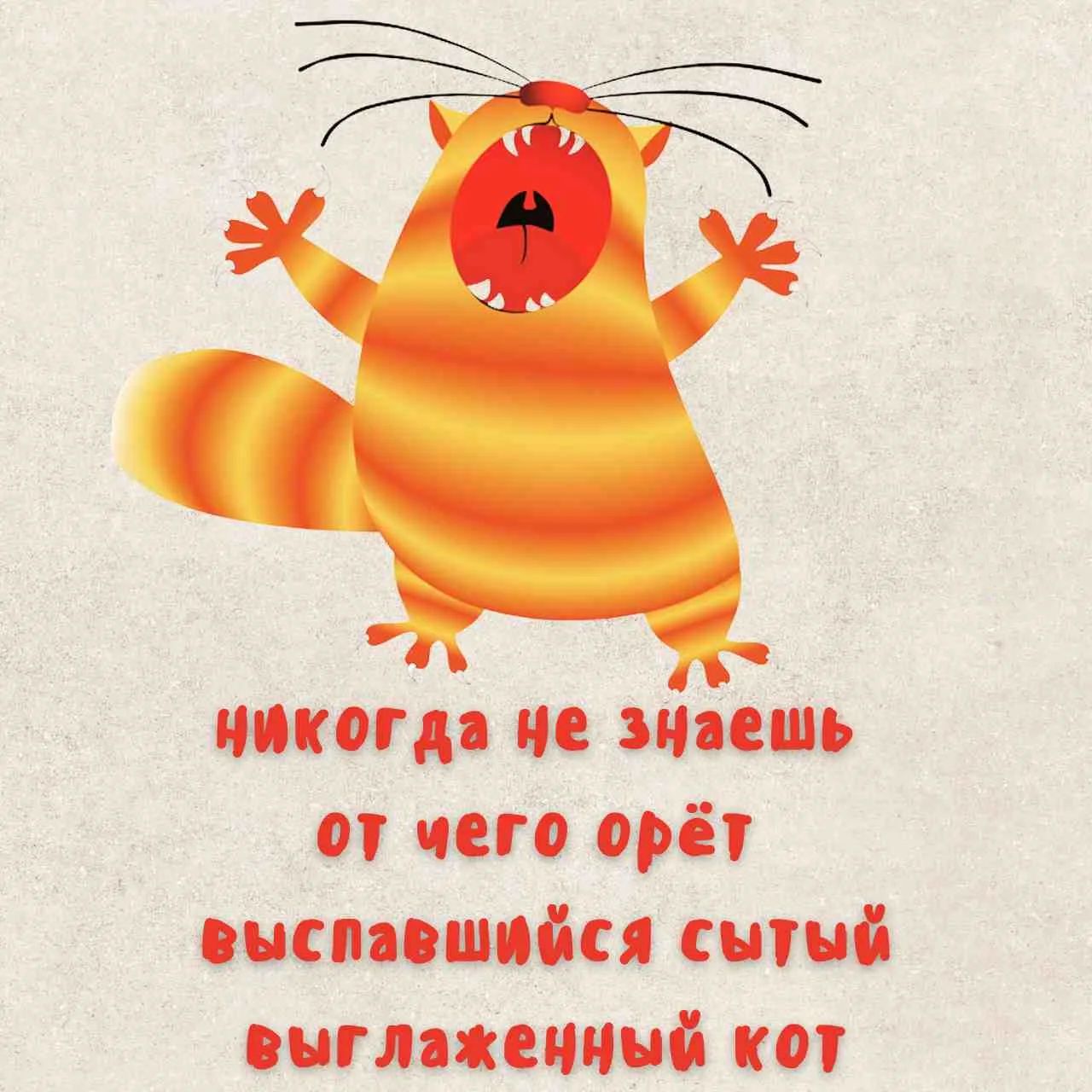 НИКОГДА НЕ ЗНАЕШЬ ОТ ЧЕГО ОРЁТ ВЫСПАВШИЙСЯ СЫТЫЙ ВЫГЛАЖЕННЫЙ КОТ