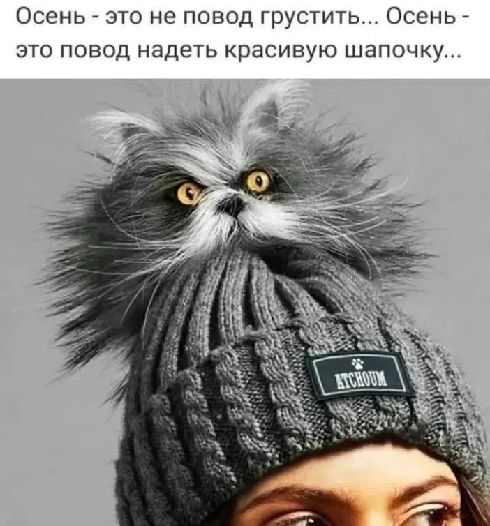 Осень - это не повод грустить... Осень - это повод надеть красивую шапочку...