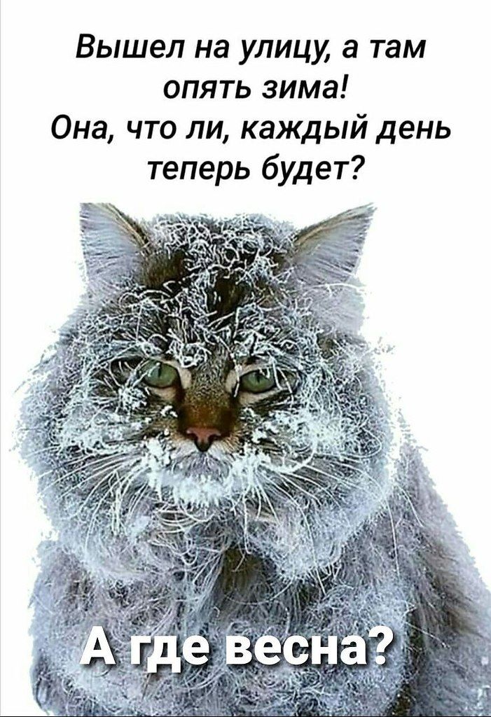 Вышел на улицу, а там опять зима! Она, что ли, каждый день теперь будет? А где весна?