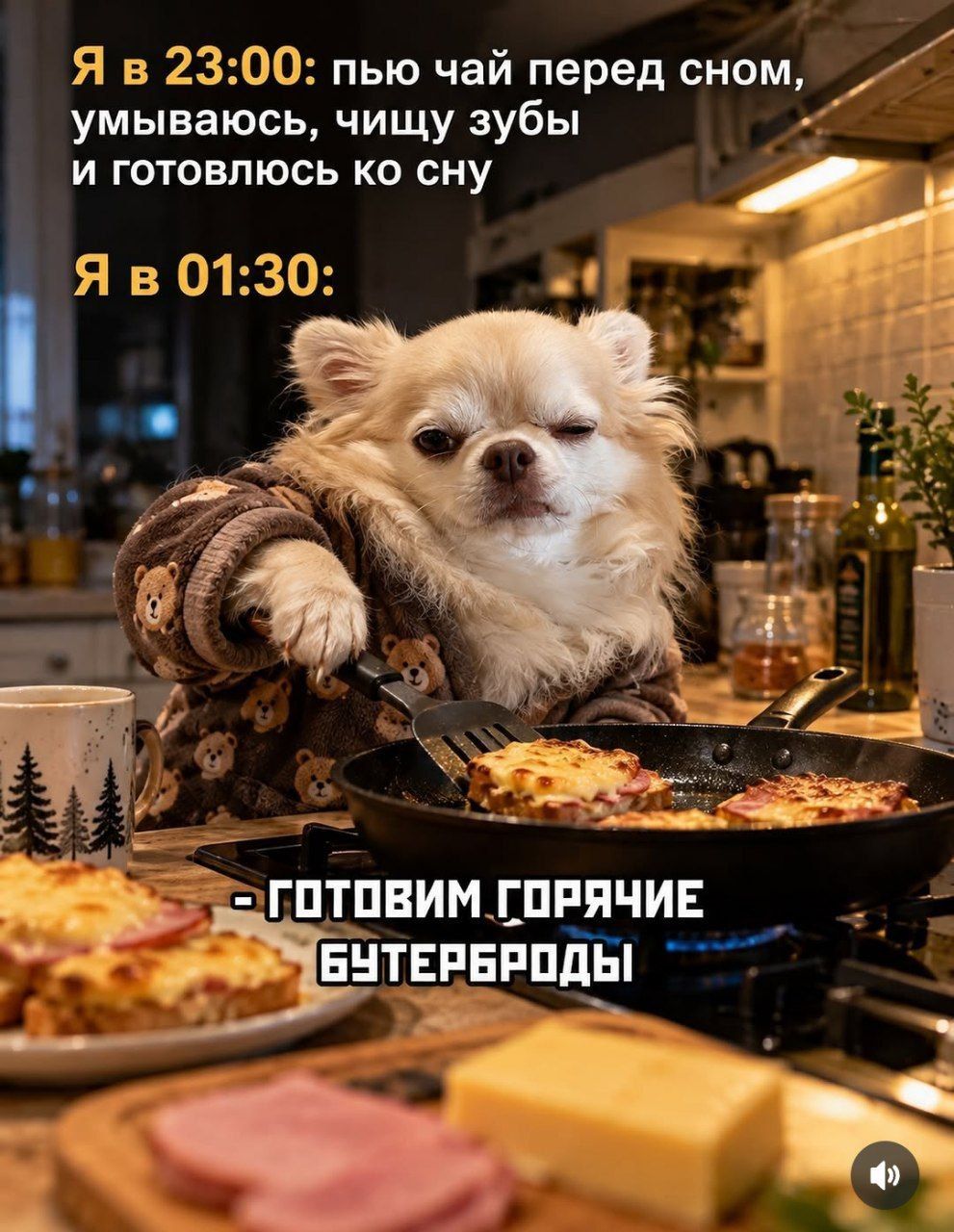 Я в 23:00: пью чай перед сном, умываюсь, чищу зубы и готовлюсь ко сну. Я в 01:30: готовим горячие бутерброды.