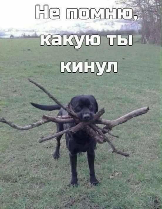Не помню, какую ты кинул