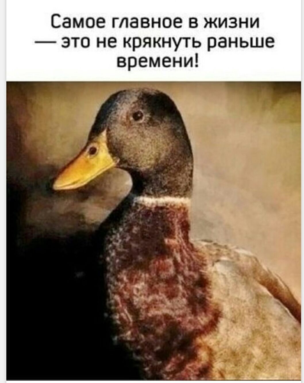 Самое главное в жизни — это не крякнуть раньше времени!