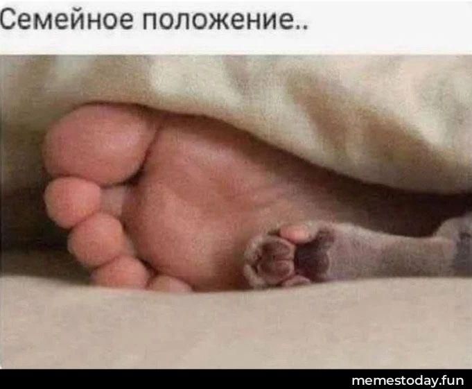 Семейное положение.. человеческая стопа и крошечная лапка животного под одеялом