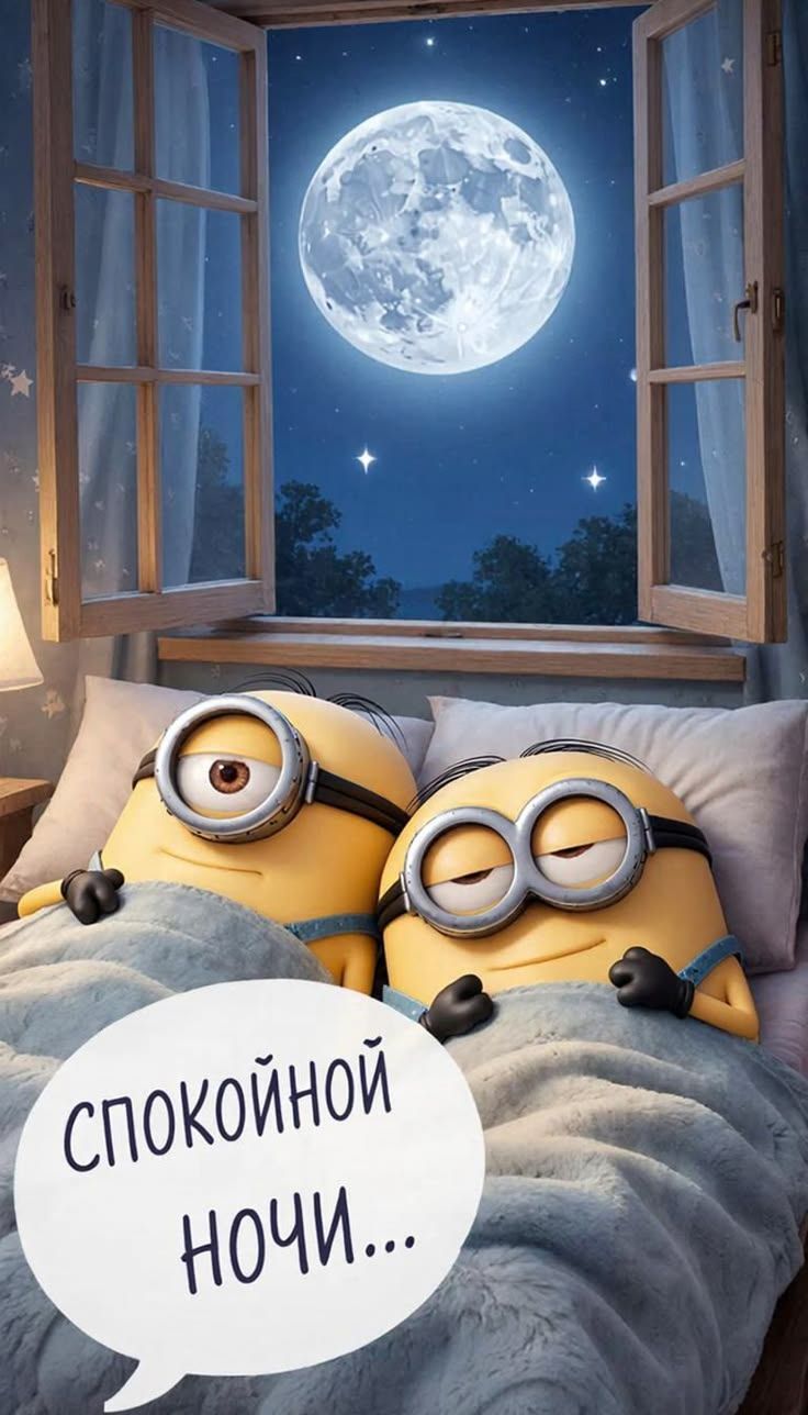 Спокойной ночи...