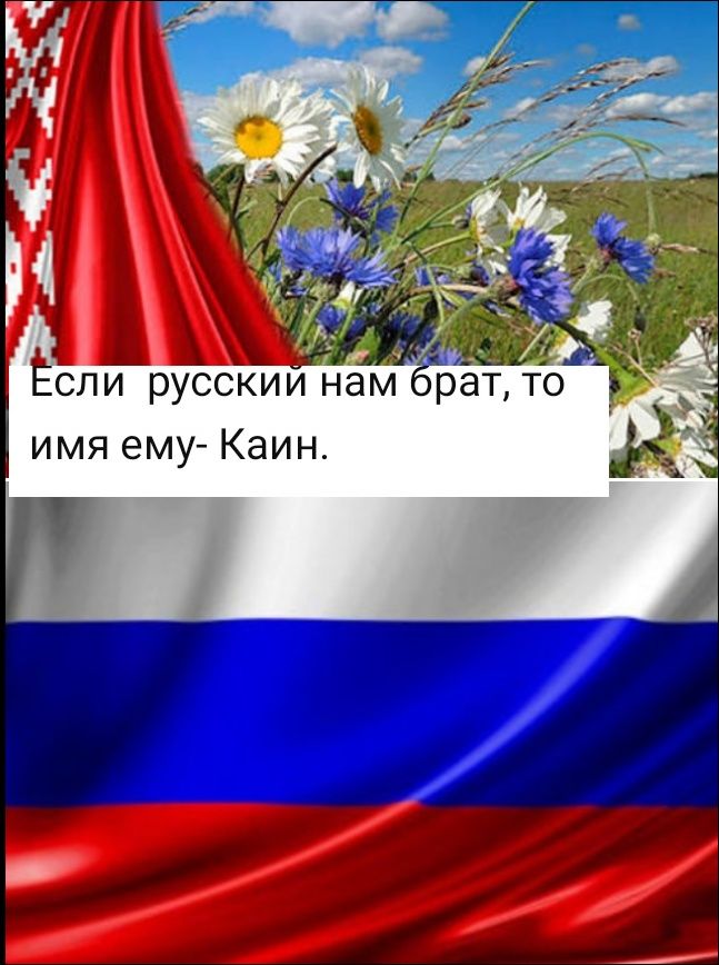 Если русский нам брат, то имя ему- Каин.
