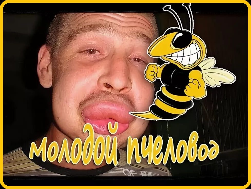 молодой пчеловод