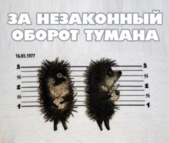 ЗА НЕЗАКОННЫЙ ОБОРОТ ТУМАНА 16.03.1977