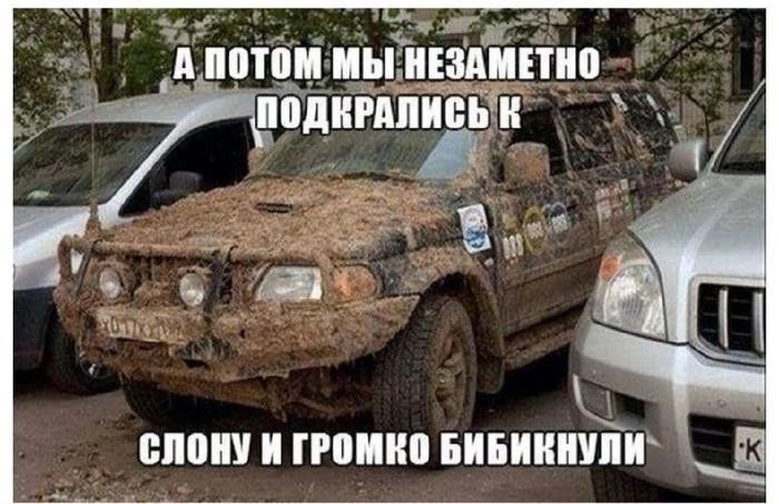 А потом мы незаметно подкрались к слону и громко бибикнули