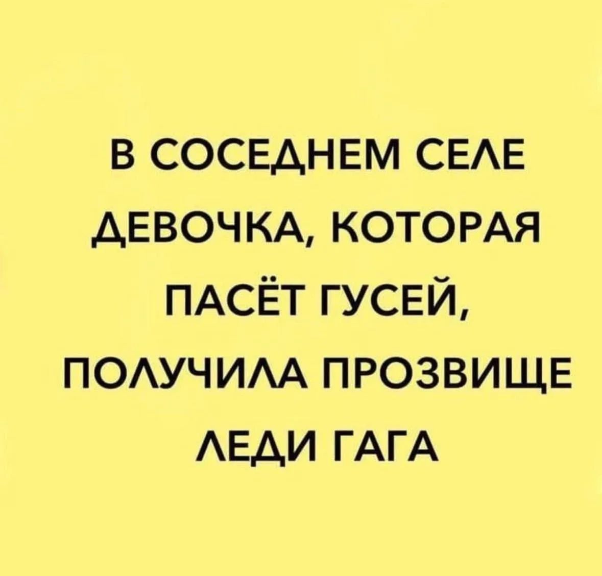 В СОСЕДНЕМ СЕЛЕ ДЕВОЧКА, КОТОРАЯ ПАСЁТ ГУСЕЙ, ПОЛУЧИЛА ПРОЗВИЩЕ ЛЕДИ ГАГА