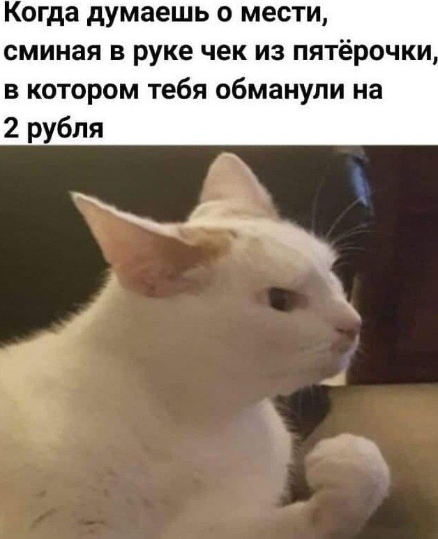 Когда думаешь о мести, сминая в руке чек из пятёрочки, в котором тебя обманули на 2 рубля