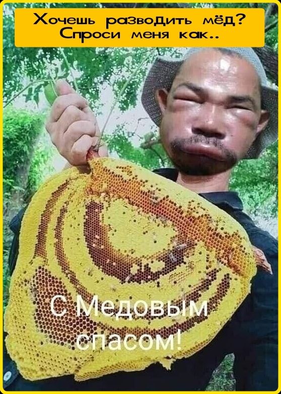 Хочешь разводить мёд? Спроси меня как.. С Медовым спасом!