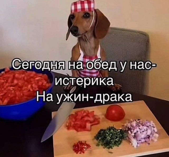 Сегодня на обед у нас- истерика На ужин-драка