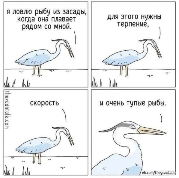Я ловлю рыбу из засады, когда она плавает рядом со мной. Для этого нужны терпение, скорость и очень тупые рыбы.