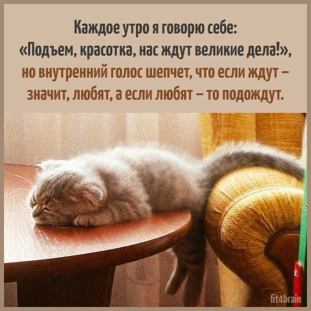 Каждое утро я говорю себе: «Подъем, красотка, нас ждут великие дела!», но внутренний голос шепчет, что если ждут – значит, любят, а если любят – то подождут.